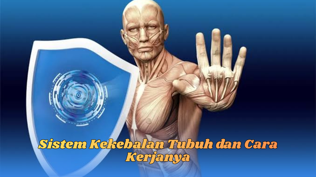 sistem kekebalan tubuh